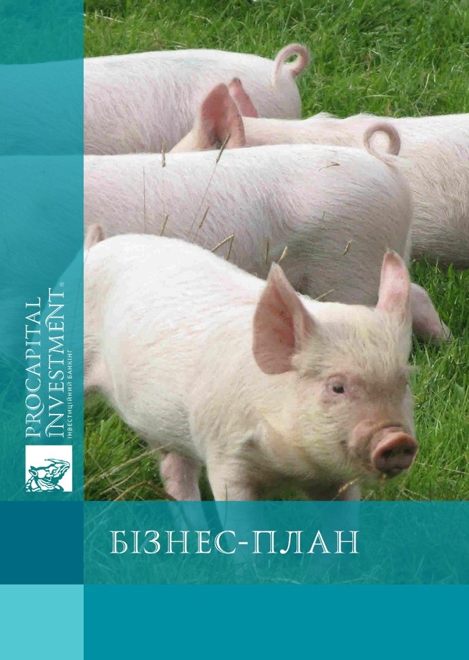 Бізнес-план свинной ферми на 1 250 голів маточного стада, продуктивністю 30 000 тис. голів в рік